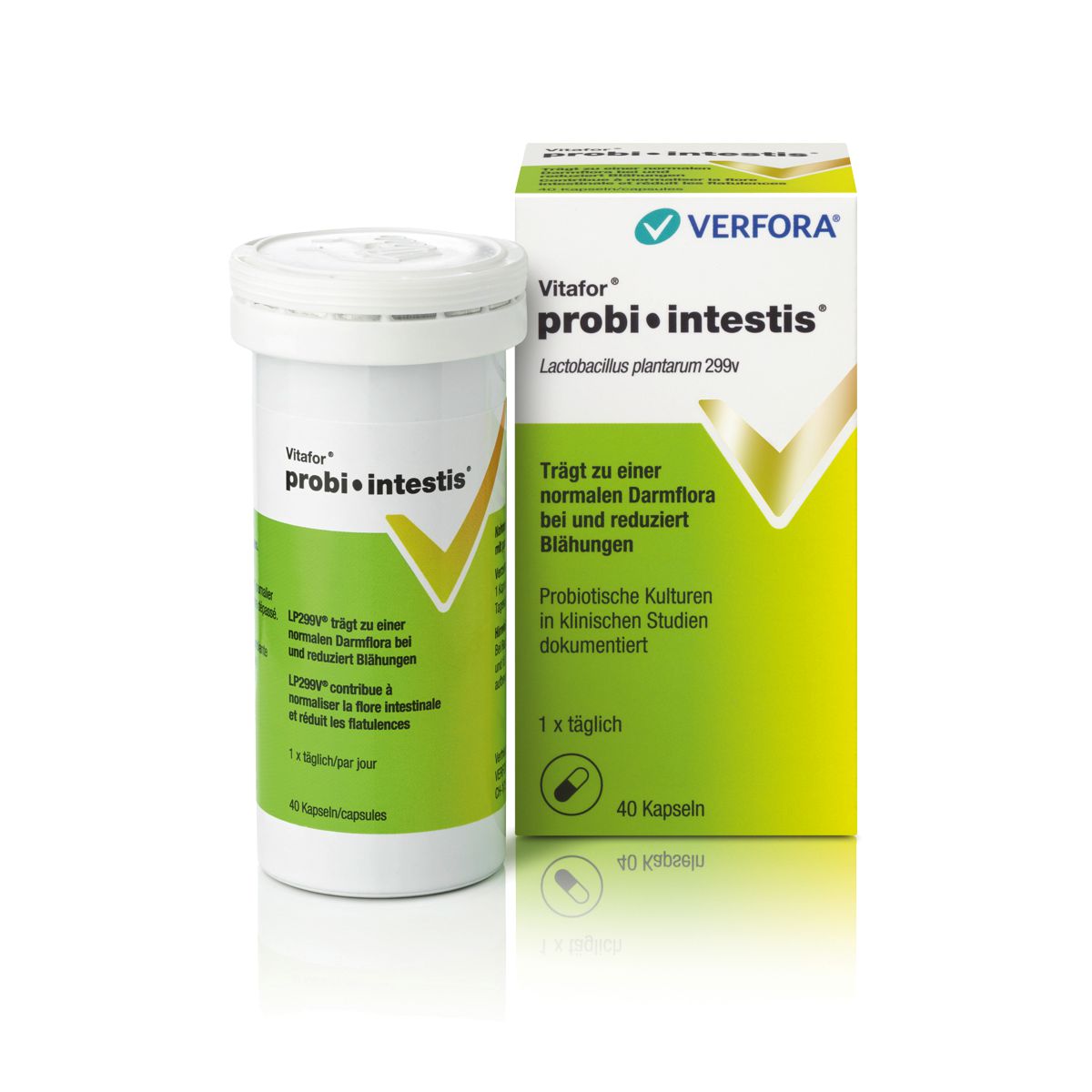 VITAFOR Probi-intestis Kapseln 40 Stück VITAFOR Probi-intestis Kapseln 40 Stück