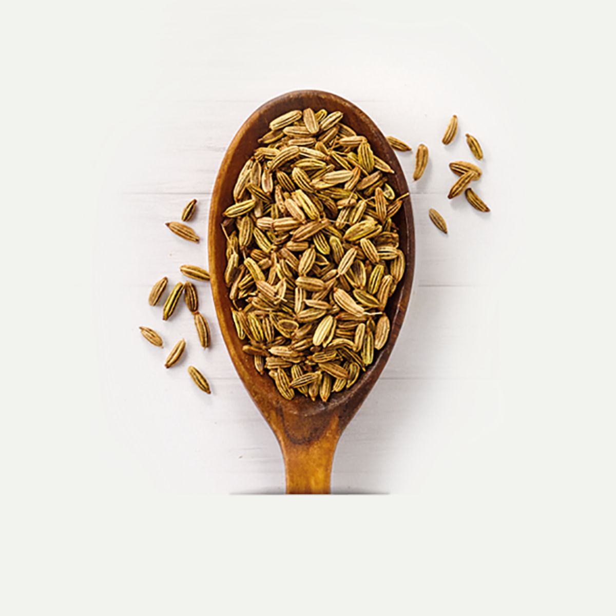 LEBENSBAUM Fenchel ganz Btl 30 g