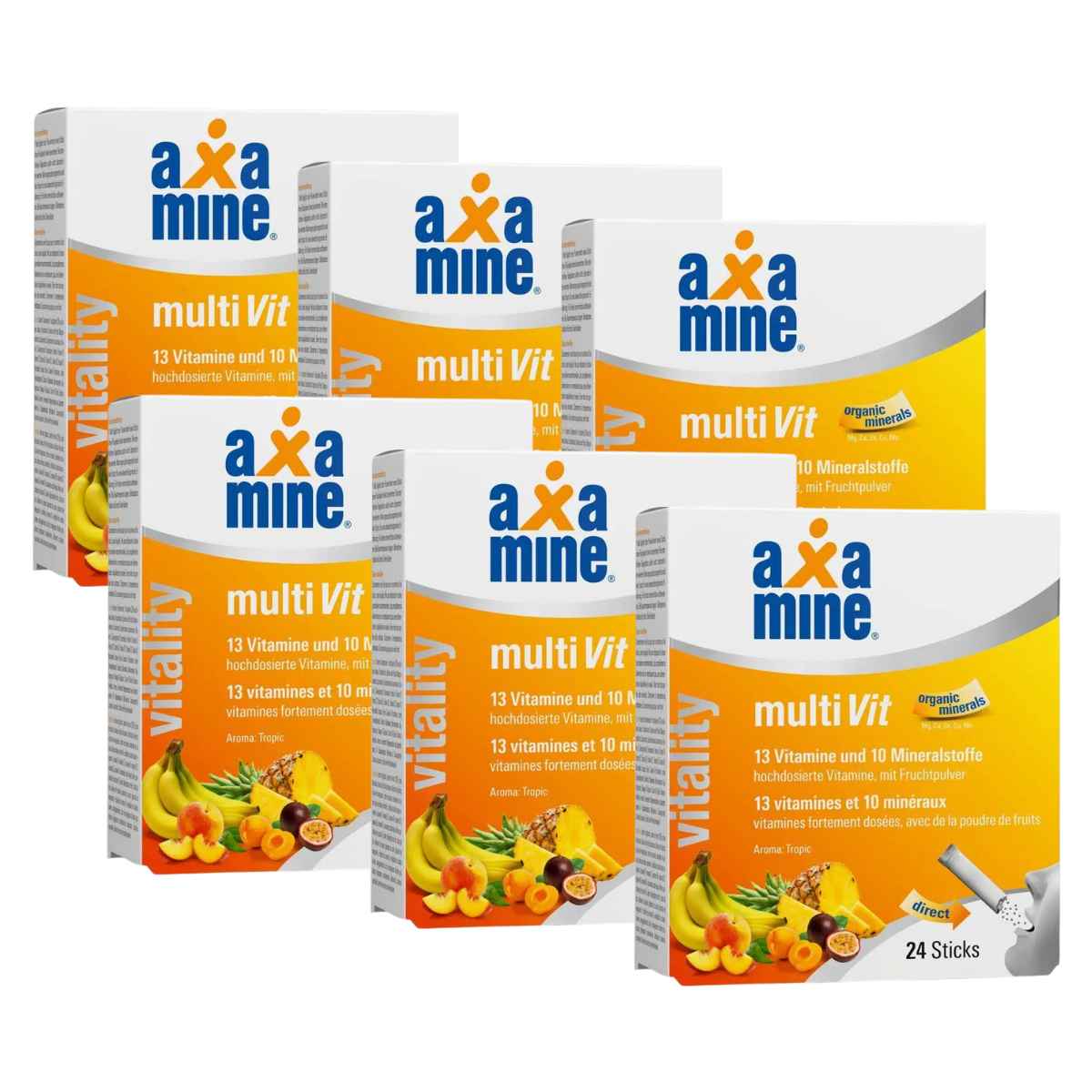 Axamine MultiVit Sticks 6x 24 Stück