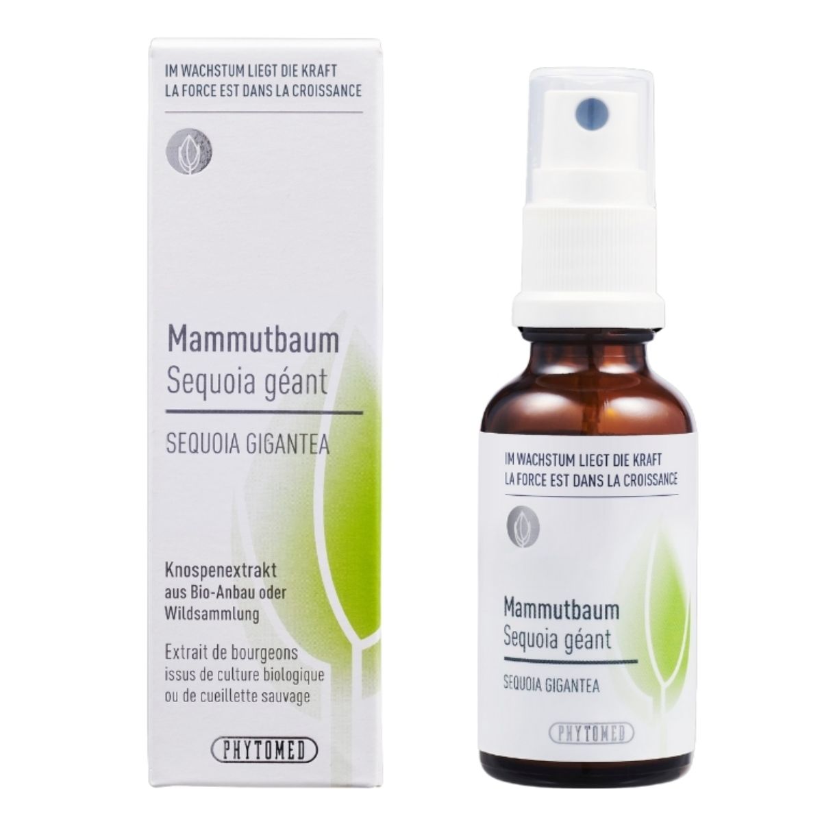 Phytomed Knospenextrakt Mammutbaum 30 ml