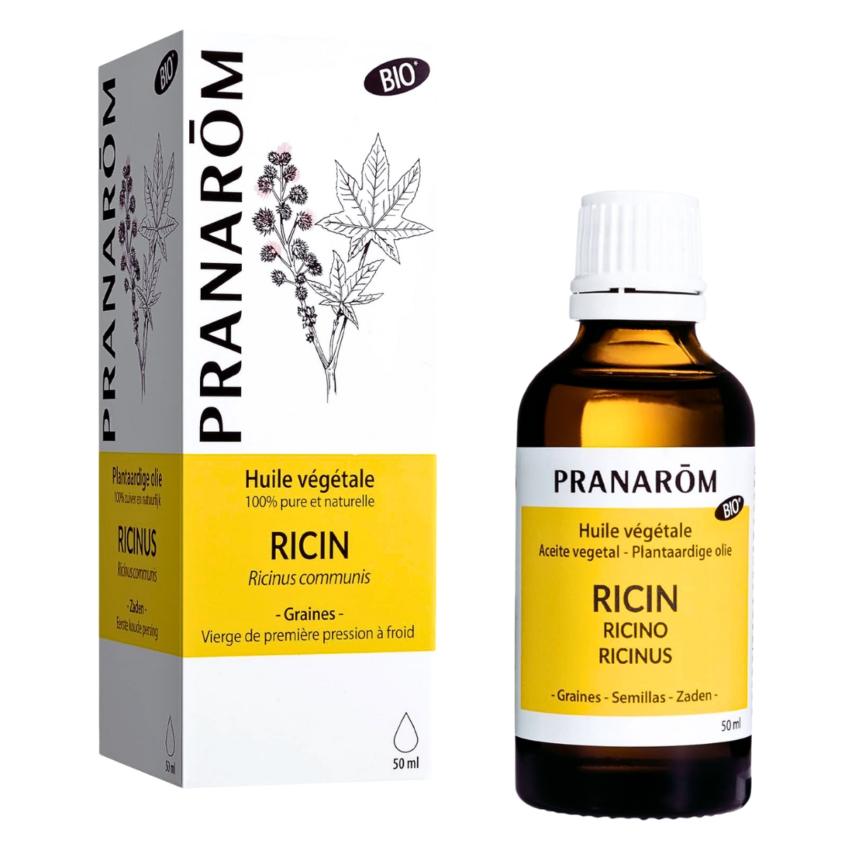 Pranarom Rizinus Pflanzenöl Bio Flasche 50 ml