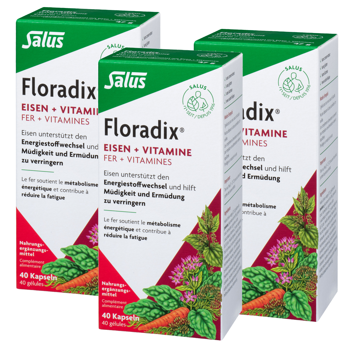 Floradix Eisen + Vitamine Kapseln 3x 40 Stück