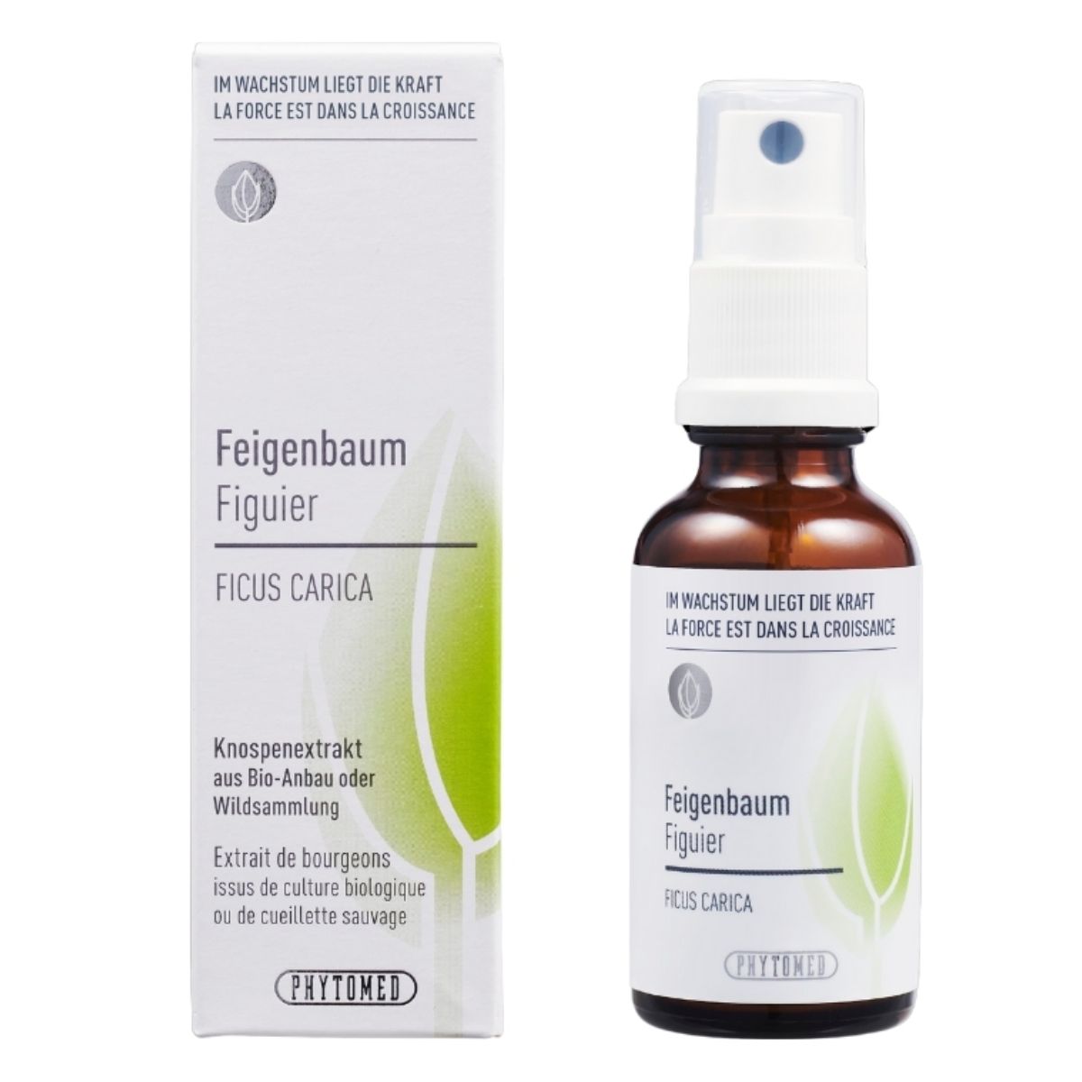 Phytomed Knospenextrakt Feigenbaum 30 ml