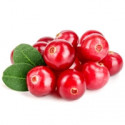 cranberry
