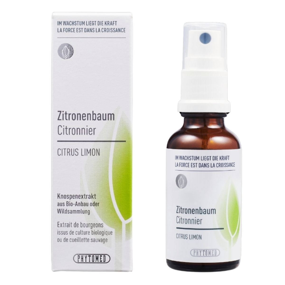 Phytomed Knospenextrakt Zitronenbaum 30 ml