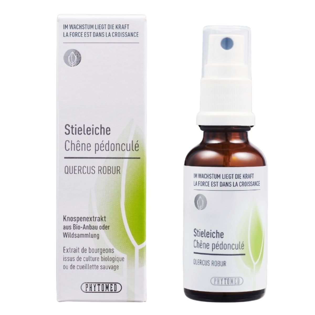 Phytomed Knospenextrakt Stieleiche 30 ml
