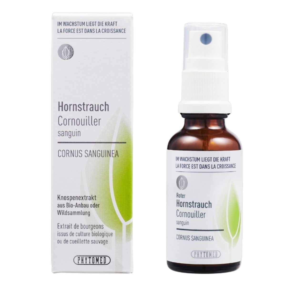 Phytomed Knospenextrakt Roter Hornstrauch 30 ml