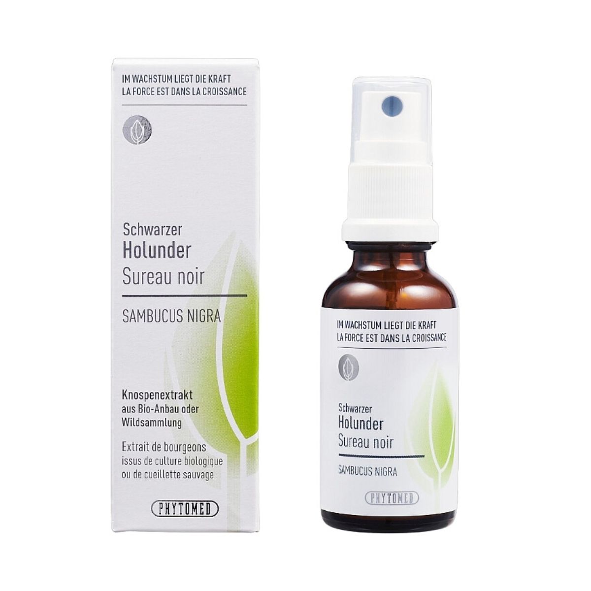 Phytomed Knospenextrakt schwarzer Holunder 30 ml
