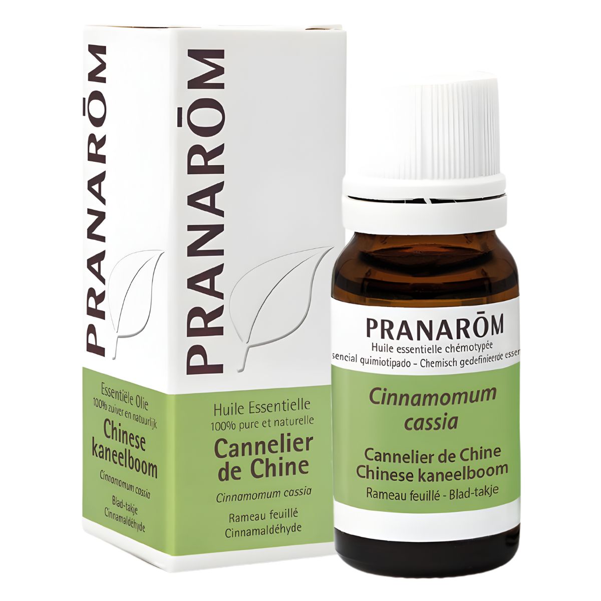 Pranarom Chinesischer Zimtbaum Äth/Öl BIO 10 ml