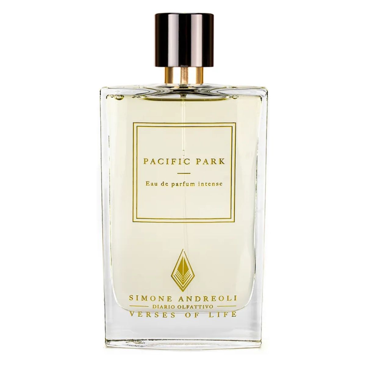 SIMONE ANDREOLI Pacific Park Eau de Parfum Intense 100 ml