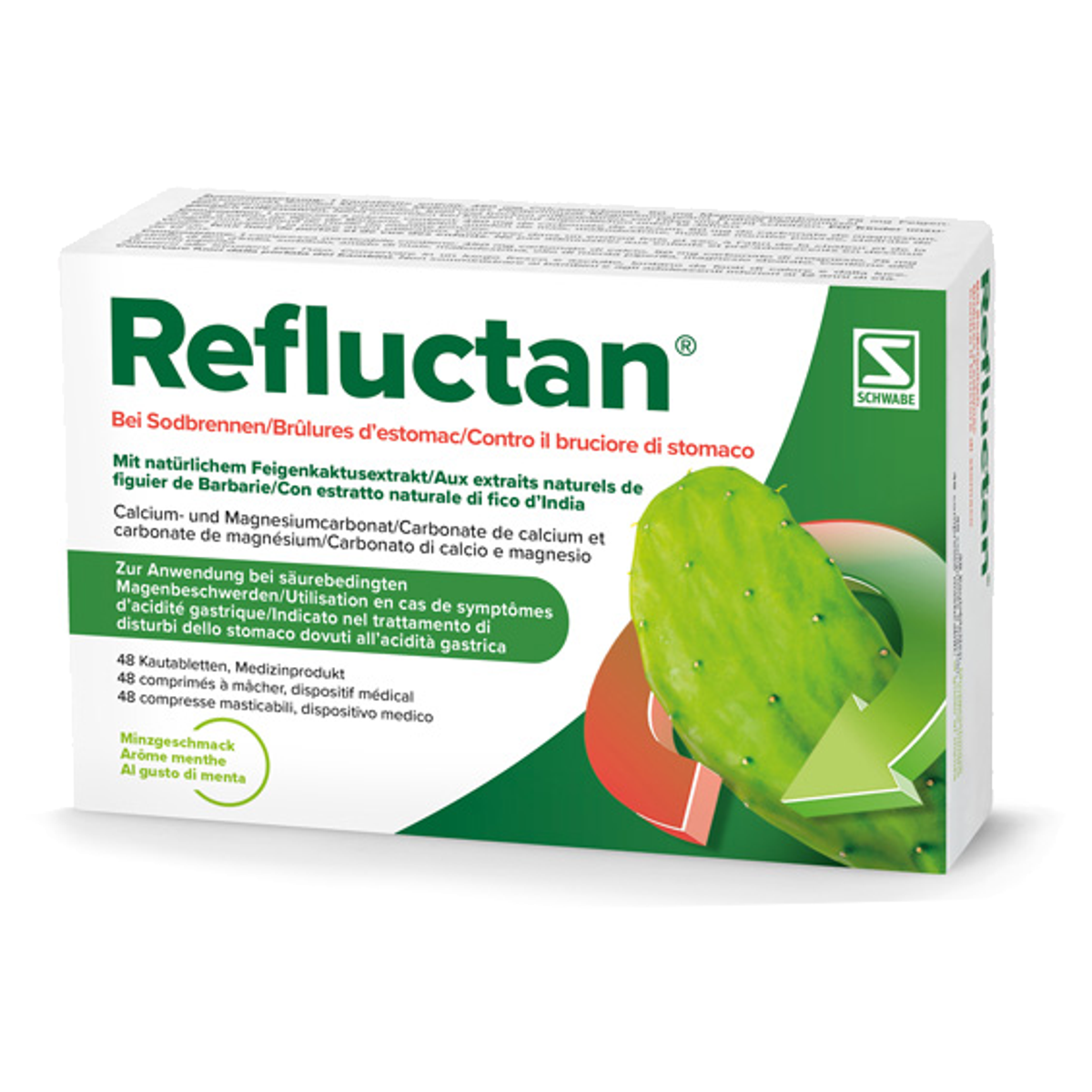 Refluctan Kautabletten Minze Blister 48 Stück