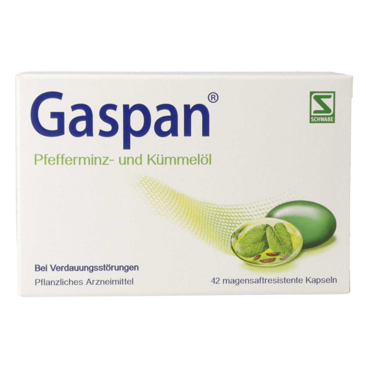 Gaspan Kaps magensaftresistent 42 Stück