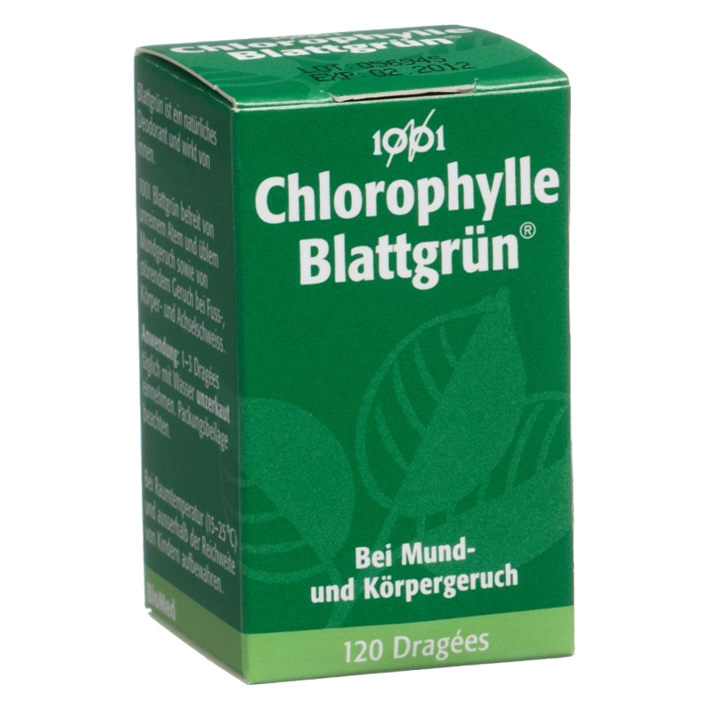 BLATTGRÜN 1001 Drag Fl 120 Stk BLATTGRÜN 1001 Drag Fl 120 Stk