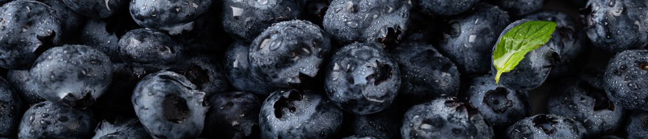 acai-beeren