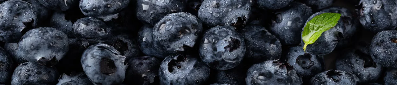 Açai Beeren kaufen