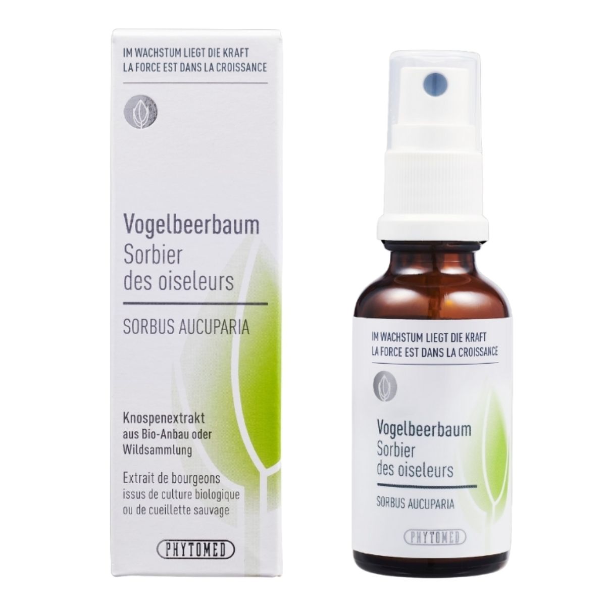 Phytomed Knospenextrakt Vogelbeerbaum 30 ml