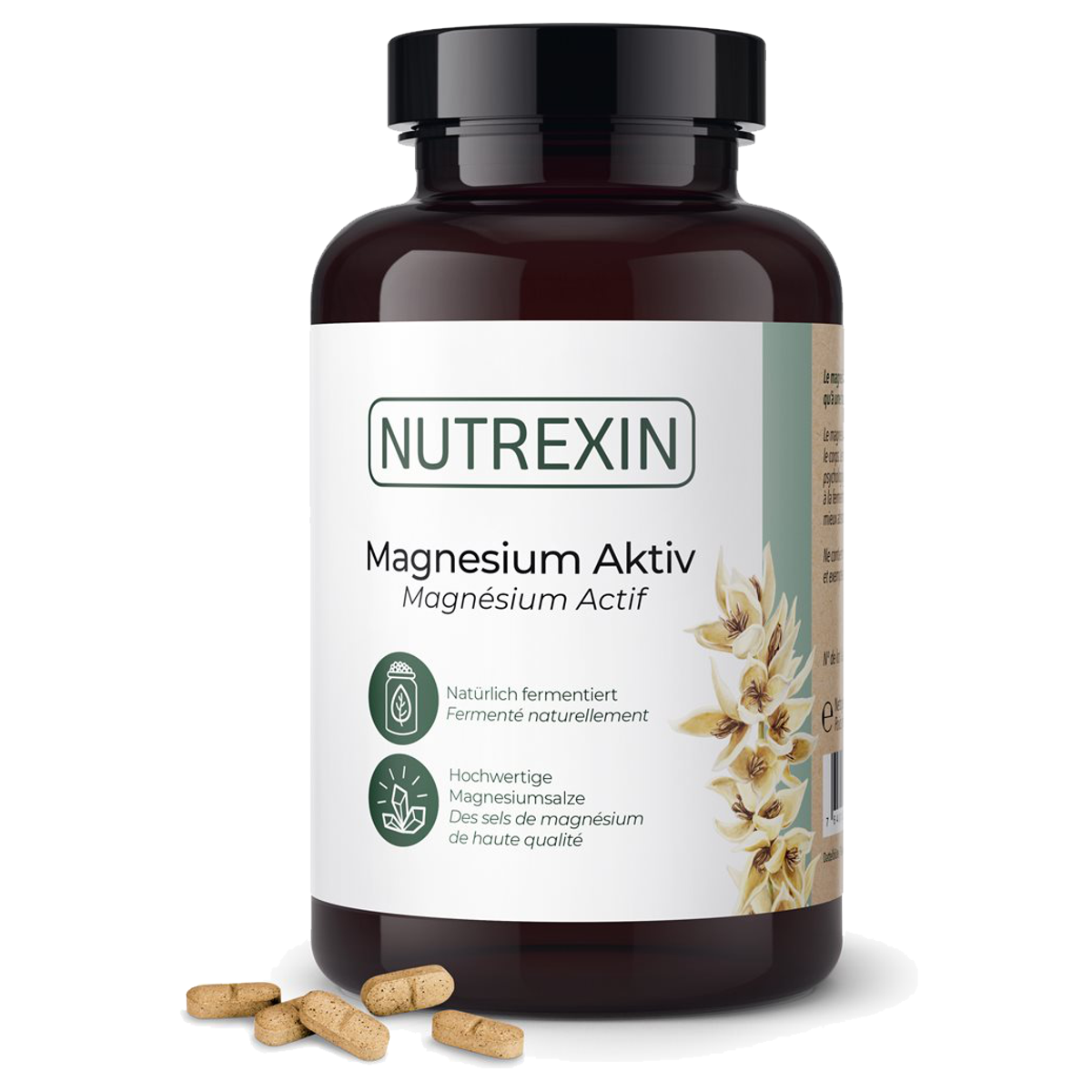 Nutrexin Magnesium-Aktiv Tabletten Dose 240 Stück Nutrexin Magnesium-Aktiv Tabletten Dose 240 Stück