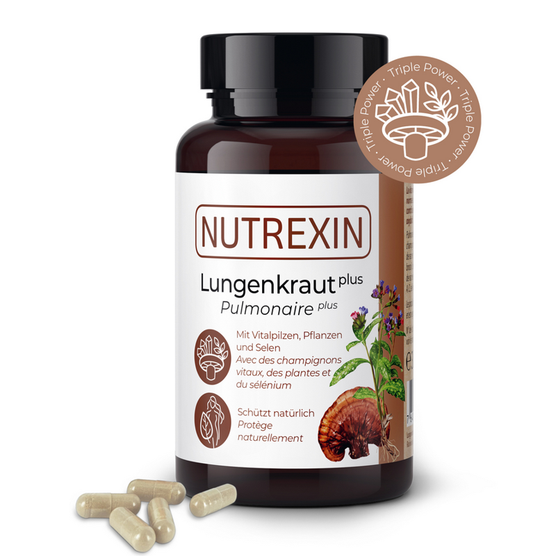 Nutrexin Lungenkraut plus Kapseln 60 Stück Nutrexin Lungenkraut plus Kapseln 60 Stück