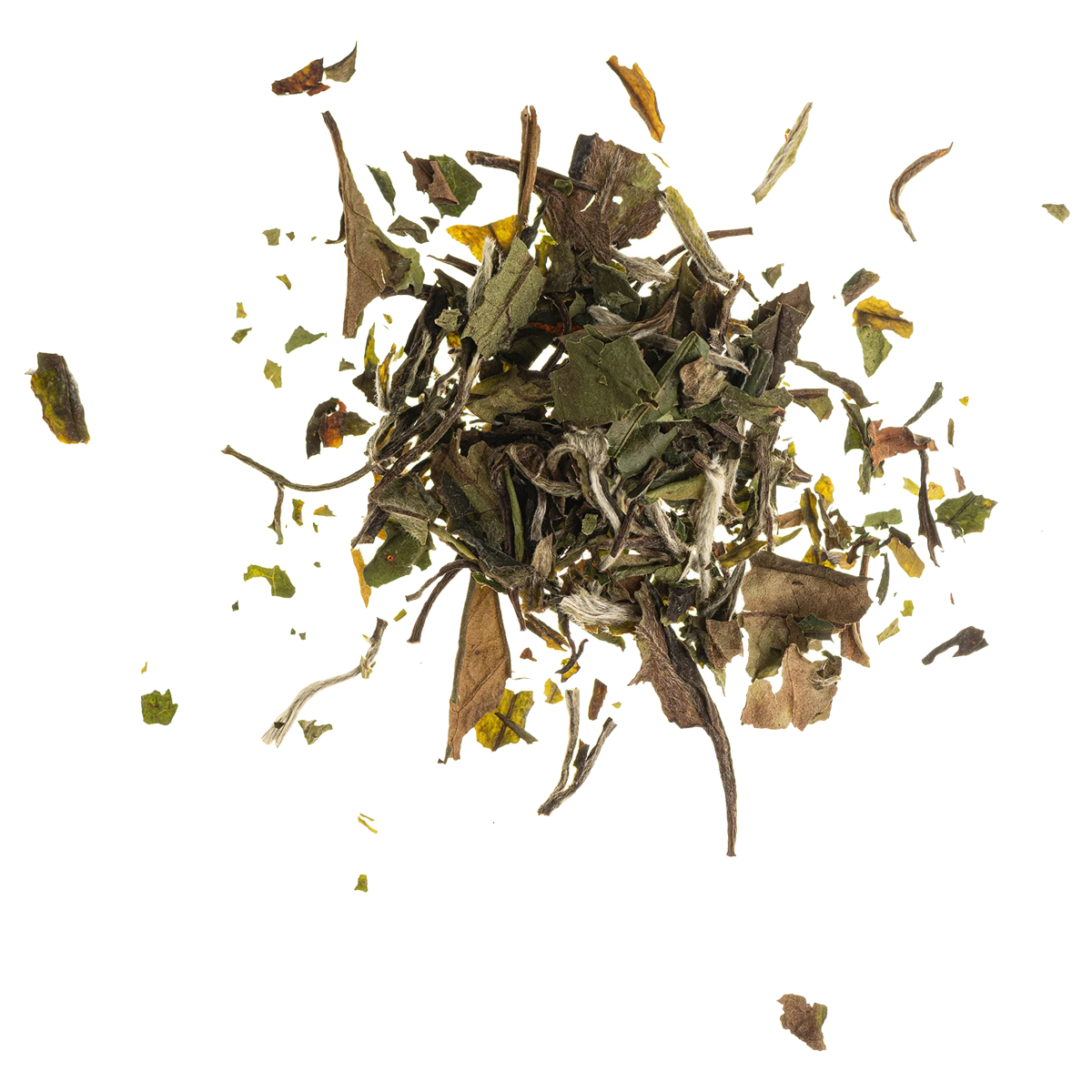 Pai Mu Tan 1. Qualität 50 g Pai Mu Tan 1. Qualität 50 g