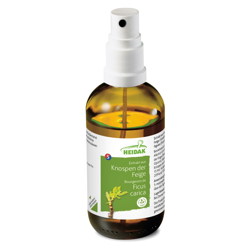 Heidak Knospe Feige Ficus carica Flasche 30 ml Heidak Knospe Feige Ficus carica Flasche 30 ml
