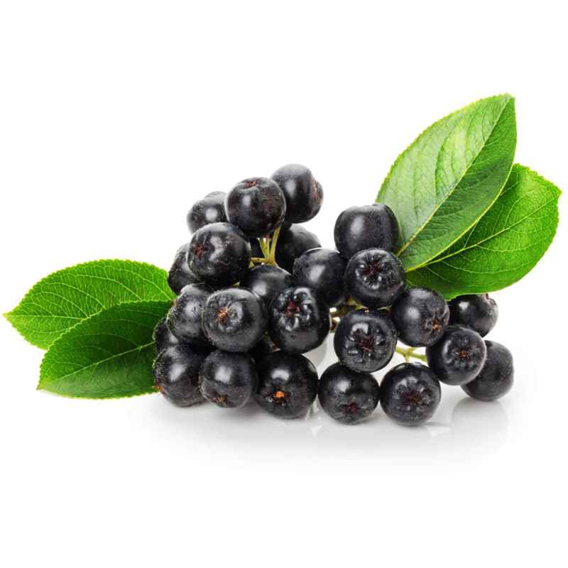 Kingnature Aronia Schokolade 100 g Kingnature Aronia Schokolade 100 g