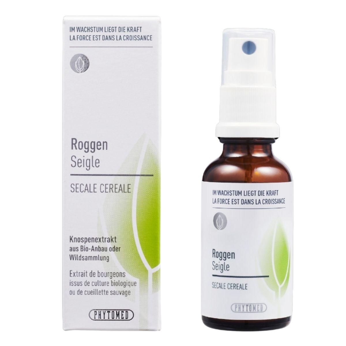 Phytomed Knospenextrakt Roggen 30 ml