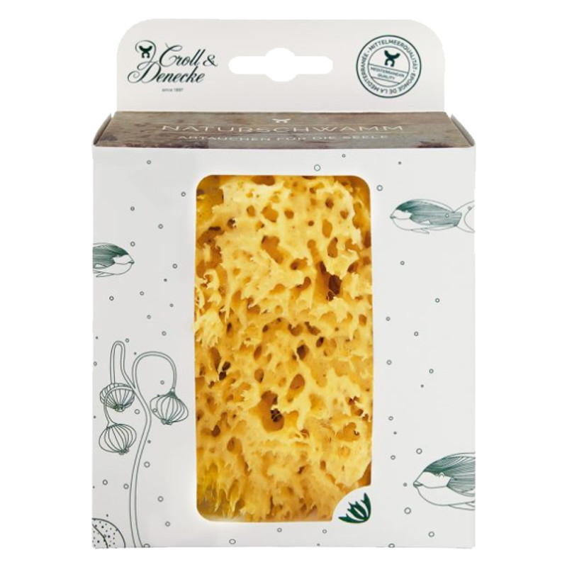 Naturschwamm, in plastikfreier Geschenkbox, Grösse L Naturschwamm, in plastikfreier Geschenkbox, Grösse L