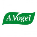 A.Vogel