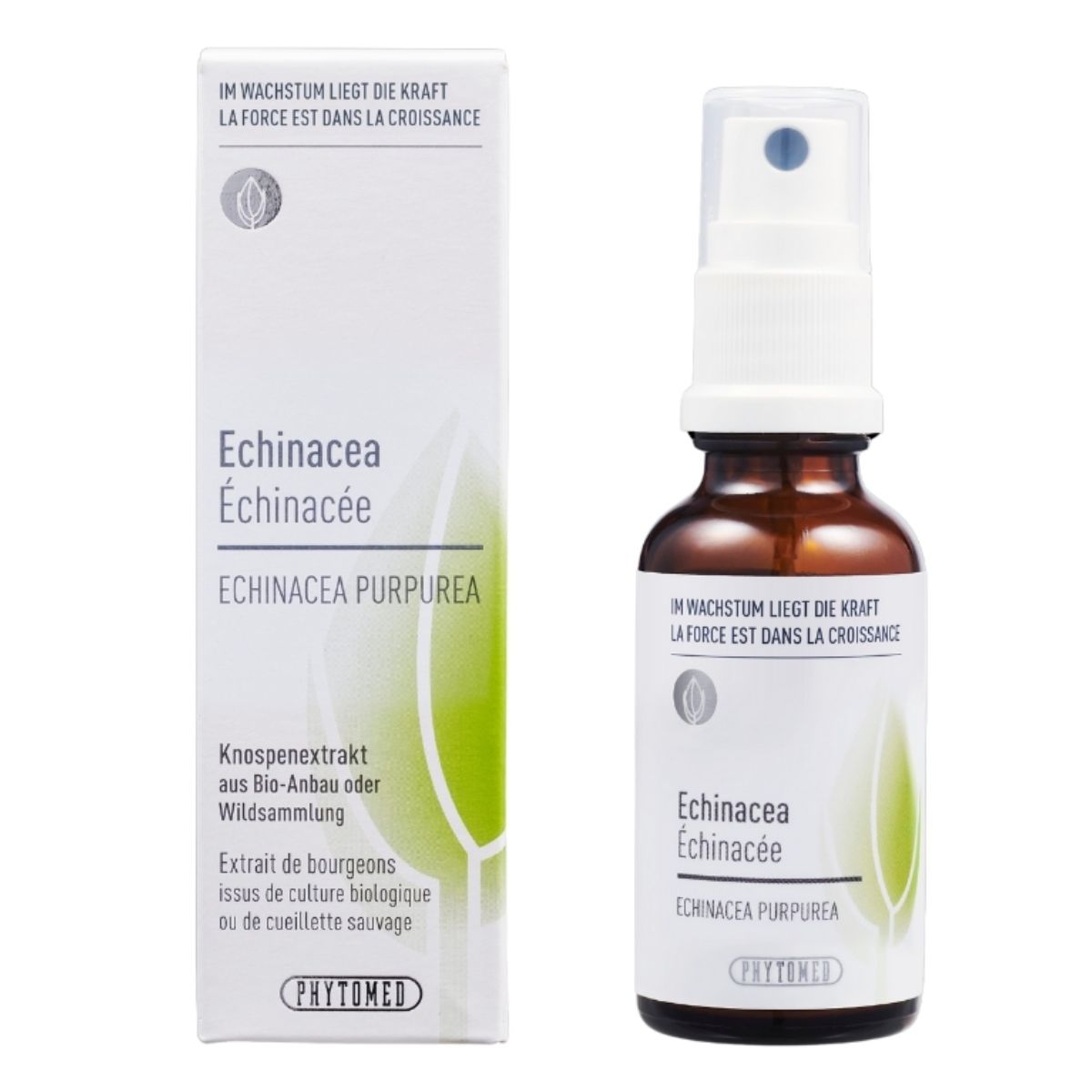Phytomed Knospenextrakt Echinacea 30 ml