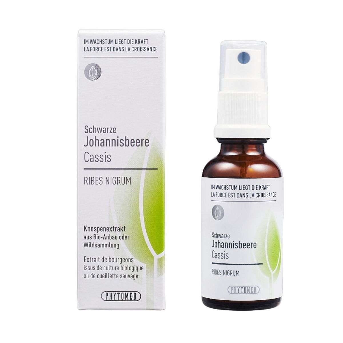 Phytomed Knospenextrakt schwarze Johannisbeere 30 ml 