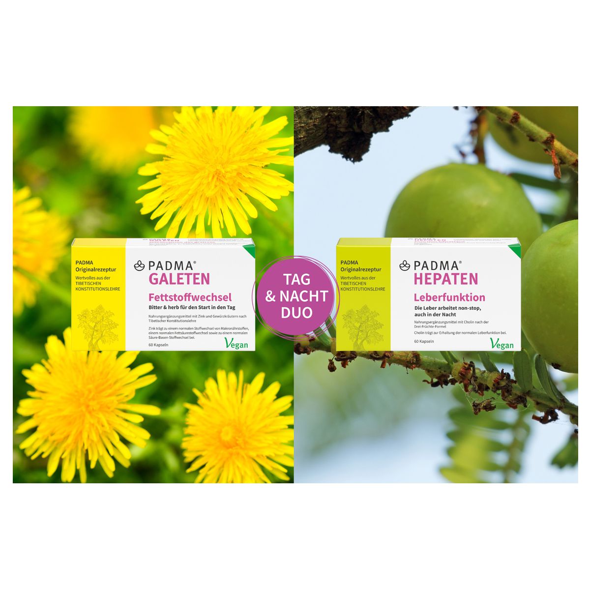 Padma Stoffwechsel-Duo Padma Stoffwechsel-Duo