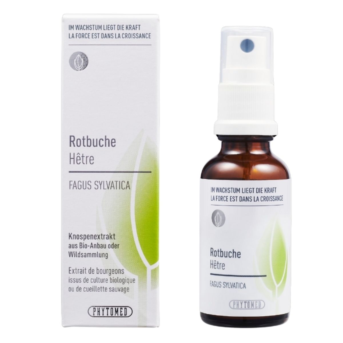 Phytomed Knospenextrakt Rotbuche 30 ml