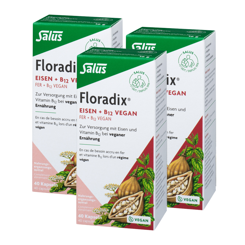 Floradix VEGAN Eisen und Vitamin B12 Kapseln 3x 40 Stück