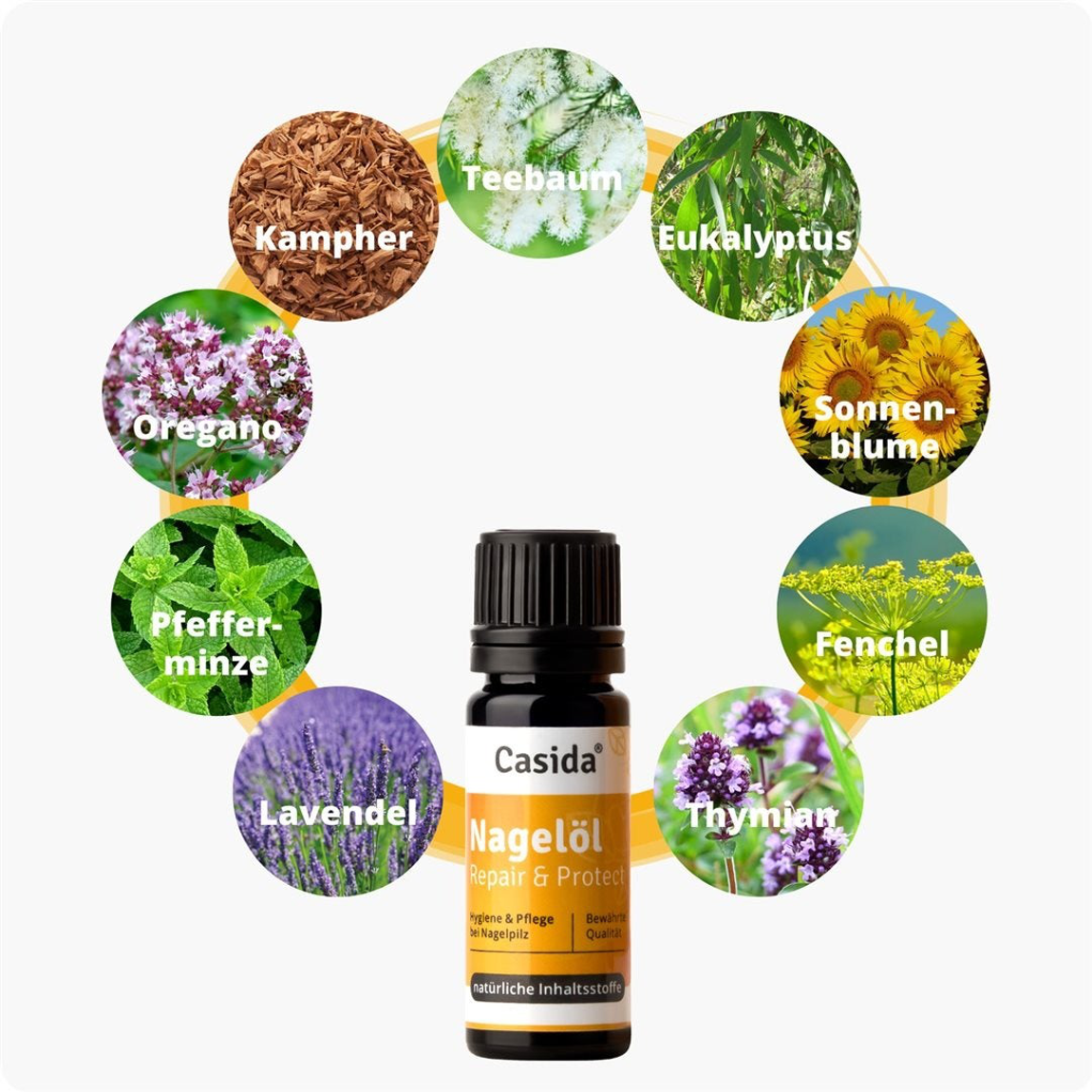 CASIDA Nagelöl Repair & Protect 10 ml CASIDA Nagelöl Repair & Protect 10 ml