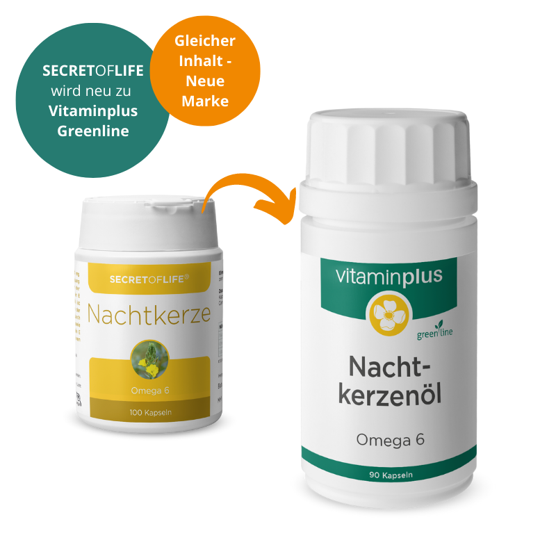 Vitaminplus Nachtkerzenöl Kapseln 500 mg 90 Stück Vitaminplus Nachtkerzenöl Kapseln 500 mg 90 Stück