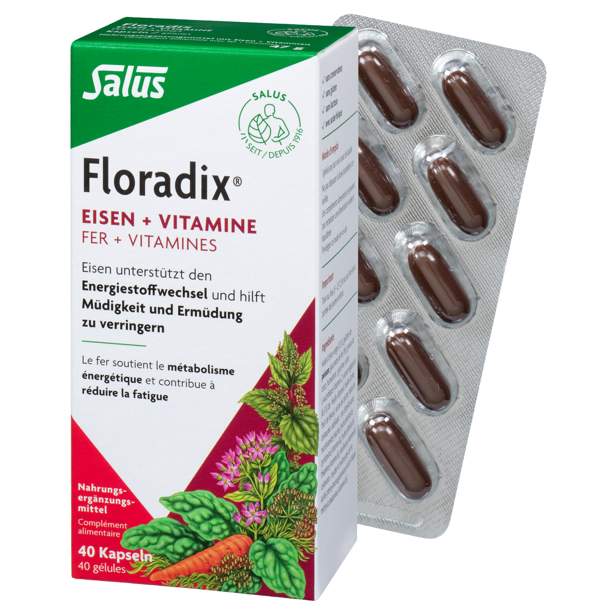 Floradix Eisen + Vitamine Kapseln 40 Stück Floradix Eisen + Vitamine Kapseln 40 Stück
