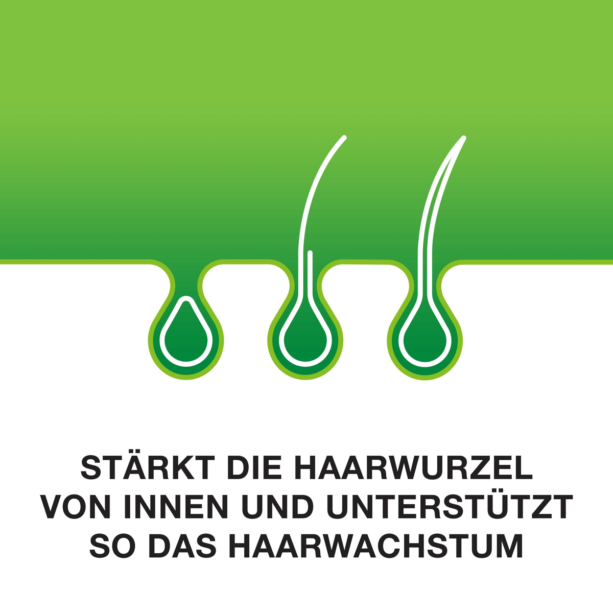 Priorin N Kapseln 270 Stück Priorin N Kapseln 270 Stück