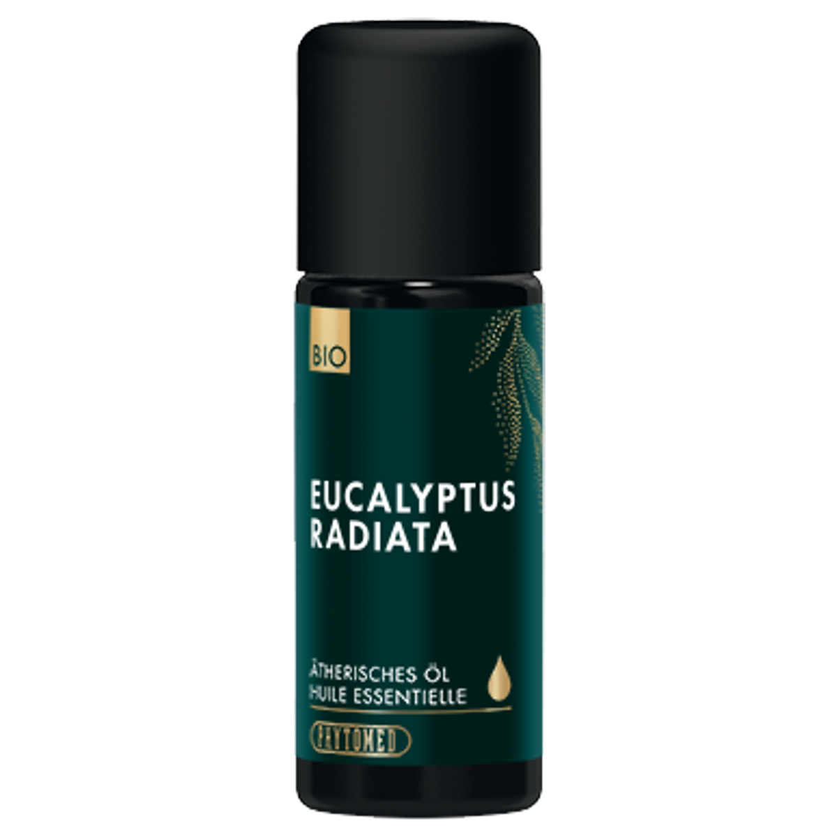 Phytomed Eucalyptus radiata ätherisches Öl Bio 10 ml